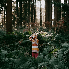 Siemens é pioneira em sustentabilidade e continua acelerando seus compromissos 