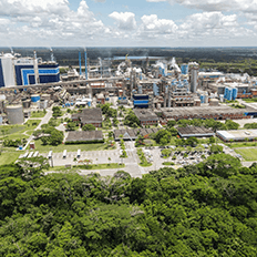 Voith Paper e a Suzano fecharam recentemente mais uma parceria no setor de papel e celulose