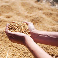 Nova Geração investe na automação de sua gestão Req2Pay 