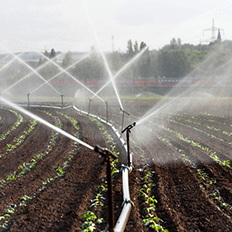 Filtros na irrigação viram solução sustentável que potencializa até o aumento da produção
