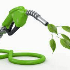 Cooperação técnica do Governo das Filipinas para a cadeia de produção de etanol e biocombustíveis