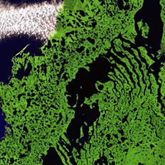 Centro de Pesquisa para Inovação em Gases de Efeito Estufa recebe inscrições 