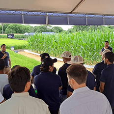 Gotejamento tem aberto novas possibilidades e impulsionado resultado