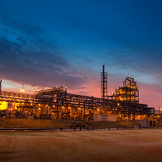 Grupo Lwart firma acordo de compromisso para aquisição da VitalForce