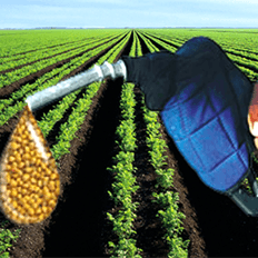 Continuidade do fortalecimento do Programa Nacional de Produção e Uso do Biodiesel 