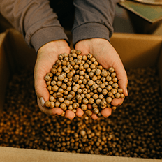 Mercur avança no desenvolvimento de produtos e soluções mais sustentáveis  