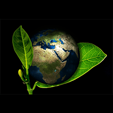 Emissões de CO2 devem ser reduzidas à metade até 2030