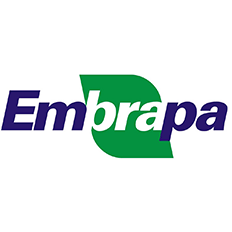 Baixa performance da indústria no Brasil 