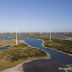 Copel Mercado Livre se reestrutura para se tornar a principal porta de entrada dos clientes da companhia 