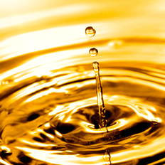 Transporte rodoviário se compromete no combate à poluição do meio ambiente