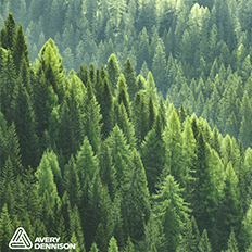 Avery Dennison divulga o balanço positivo protagonizado pelo seu Programa AD Circular 