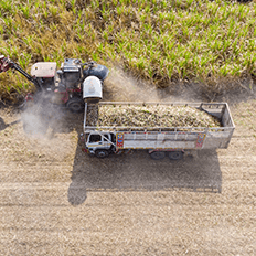 A capacidade de produzir energia limpa em larga escala contrasta com muitos desafios