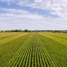 Danfoss contribuí com o agronegócio ao fornecer soluções focadas na eletrificação e eficiência energética