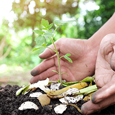 Congraf Embalagens é patrocinadora da Semana Internacional de Conscientização sobre Compostagem 