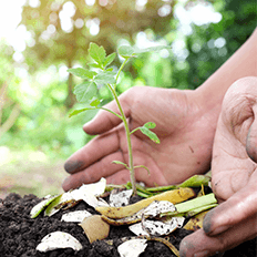 Semana Internacional de Conscientização sobre Compostagem