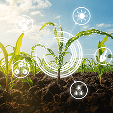 Adoção de novas tecnologias no campo