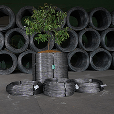 Aço Verde do Brasil divulga os resultados financeiros do primeiro trimestre de 2023