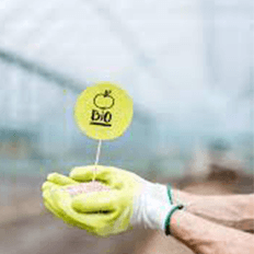 Produção nacional de alimentos deve crescer 15% na safra 2022/23 em relação ao período anterior 