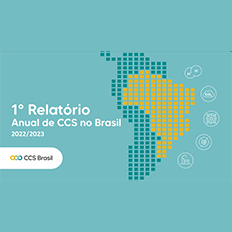 Projetos da CCS no Brasil podem gerar receitas próximas a US$14 bilhões por ano