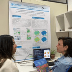 Pesquisadores desenvolvem algoritmo capaz de projetar o futuro da vegetação amazônica  