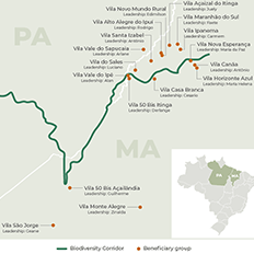 Suzano e a Sofidel anunciam o projeto: Juntos, nós plantamos o futuro 