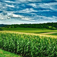 Programa Agro Paulista + Verde