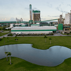 Avanços em inovação e competitividade no processo produtivo da Veracel 