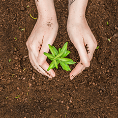 Mercur tem apostado em uma gestão com foco na responsabilidade socioambiental 