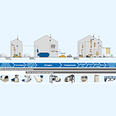 Biomassa é produzida a partir de diversos materiais renováveis