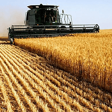 O agronegócio é um dos segmentos de maior dinamismo da economia brasileira