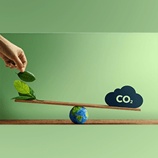 Projeto de Lei (PL) n.º 412/2022 pretende regulamentar o mercado de carbono no Brasil 