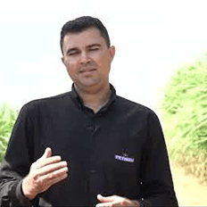 Usina Petribu encontra no uso do adubo biológico um retorno altamente positivo