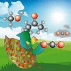 Métodos que promovam a reutilização ou a conversão de dióxido de carbono em compostos químicos de valor agregado