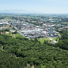 BASF mostra como a produção química e o reflorestamento andam juntos na jornada da Sustentabilidade