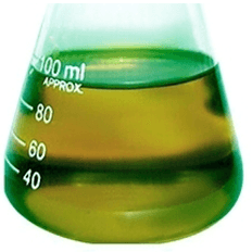 Oportunidade de pós-doutorado em biotecnologia aplicada a biocombustíveis com bolsa da FAPESP 