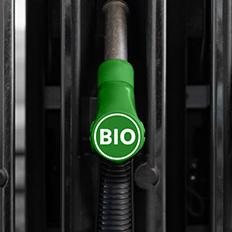 Stellantis trabalha em projeto que envolve propulsão veicular movida exclusivamente a etanol