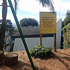 Preocupação com sustentabilidade volta a ser um problema essencial para empresas de todos os setores 