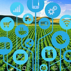 Fórum Bioinsumos no Agro reunirá especialistas do setor para discutir e promover soluções inovadoras e sustentáveis 