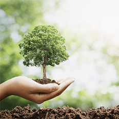 Inteligência Artificial auxilia na sustentabilidade