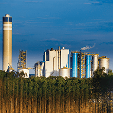 Suzano prevê concluir Projeto Cerrado até junho de 2024