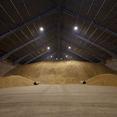 Volume da produção brasileira de grãos deverá atingir 317,6 milhões de toneladas na safra 2022/2023 