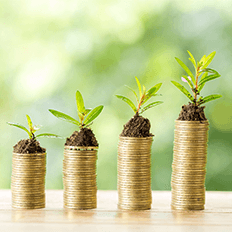 A caminhada dos empregos para atividades sustentáveis