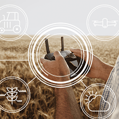 Pesquisa: Caminhos da Tecnologia no Agronegócio: Oportunidades, Desafios e Perspectivas