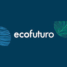 Parque das Neblinas é um potencial campo de estudos para uma diversidade de temas relacionados à Mata Atlântica