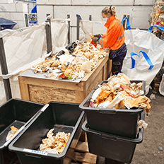 Potencial inexplorado do papel reciclável em resíduos mistos