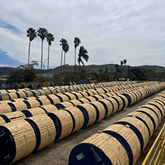 Solução evita o descarte de bobinas de madeira no lixo comum