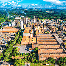 Valmet foi escolhida para realizar a modernização da linha de fibras da fábrica de celulose da Cenibra 