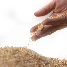 Bioplásticos em foco: estudo prevê taxa de crescimento anual de 16% até 2027