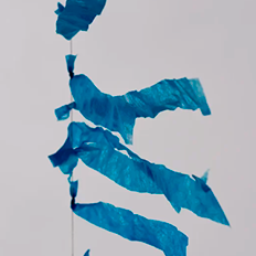 Suzano Papel e Celulose anuncia investimento de R$ 30 milhões 