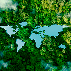 Metas previstas pelo mercado de carbono podem ser desafiadoras e exigem políticas públicas